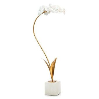 Porcelain Orchid